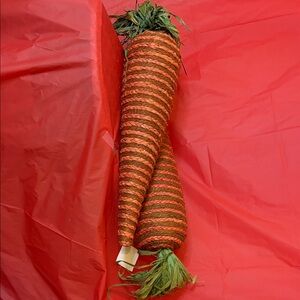 Decorative Orange and Green Carrot Set